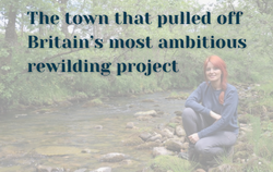 The town that pulled off Britain’s most ambitious rewilding project