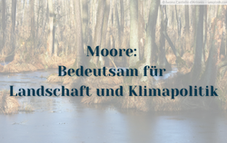 Moore: Bedeutsam für Landschaft und Klimapolitik