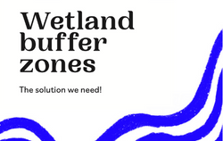 Wetland buffer zones - The solution we need