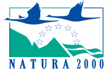 Ptaki. Poradniki ochrony siedlisk i gatunków Natura 2000 - podręcznik metodyczny. Tom 8 (część II)