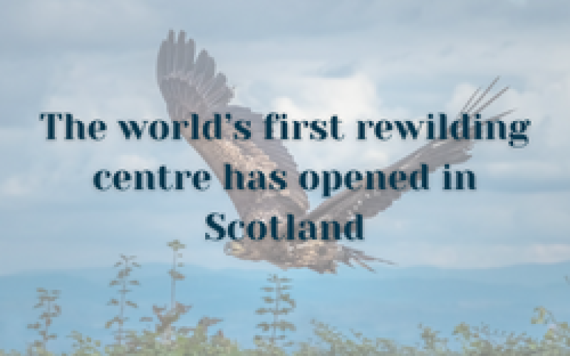 The world’s first rewilding centre has opened in Scotland