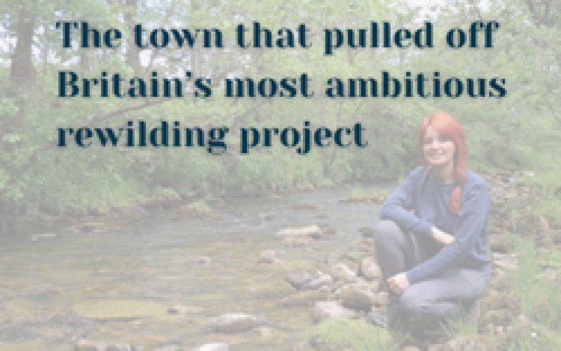 The town that pulled off Britain’s most ambitious rewilding project