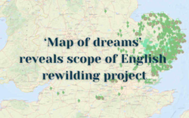 ‘Map of dreams’ reveals scope of English rewilding project