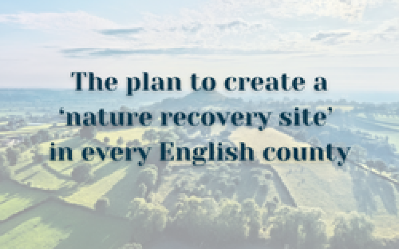 The plan to create a ‘nature recovery site’ in every English county
