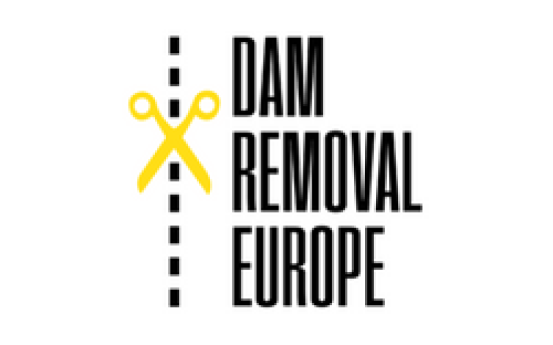 Dam Removal