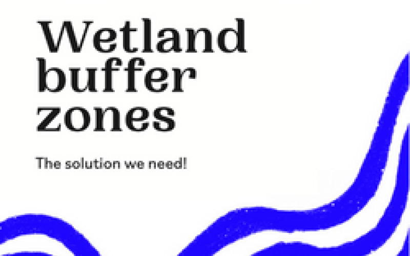 Wetland buffer zones - The solution we need