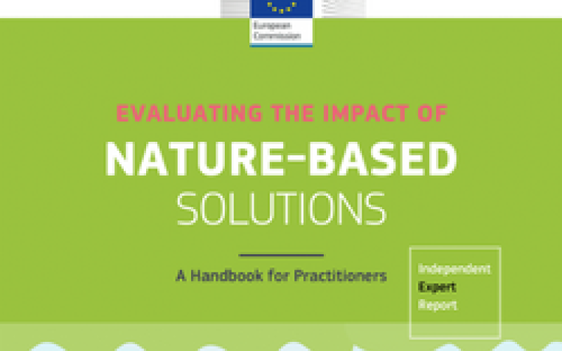 Evaluating the impact of nature-based solutions: a handbook for practitioners