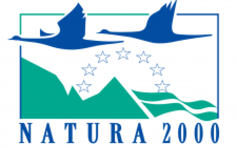 Ptaki. Poradniki ochrony siedlisk i gatunków Natura 2000 - podręcznik metodyczny. Tom 7 (część I)