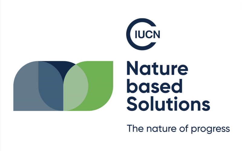 The IUCN Global Standard for Nature-based Solutions self-assessment tool
