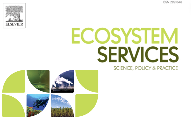 Large-scale river restoration pays off: A case study of ecosystem service valuation for the Emscher restoration generation project