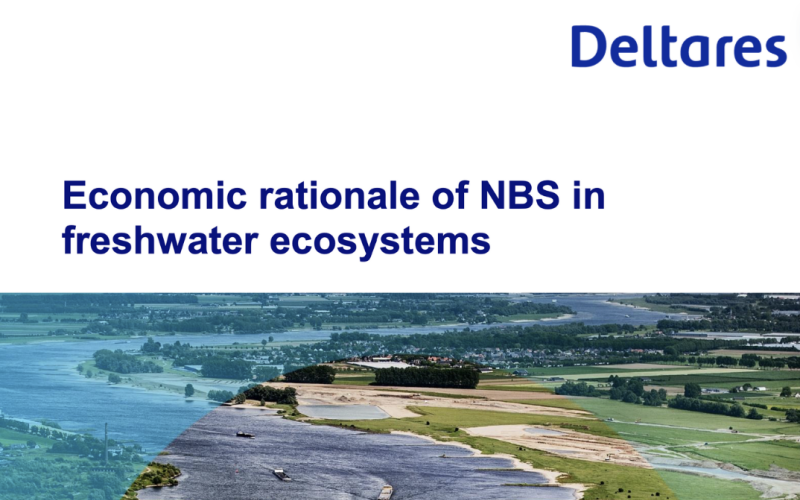 Economic rationale of NBS in freshwater ecosystems