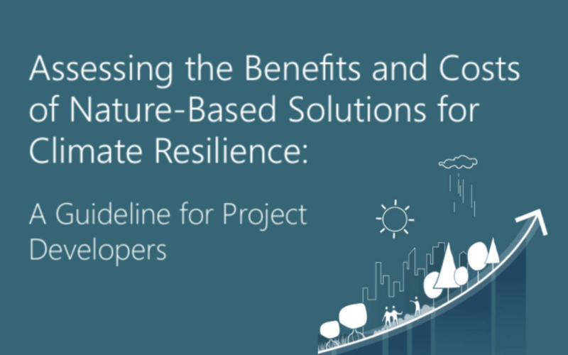 Assessing the Benefits and Costs of Nature-Based Solutions for Climate Resilience: A Guideline for Project Developers
