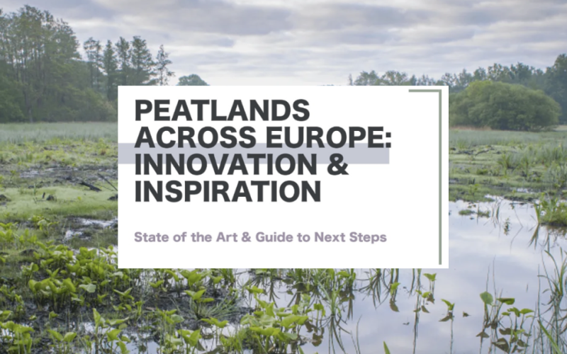 Peatlands Across Europe: Innovation and Inspiration