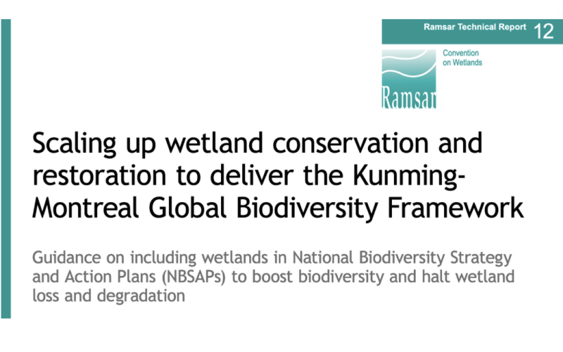 Scaling up wetland conservation and restoration to deliver the Kunming- Montreal Global Biodiversity Framework