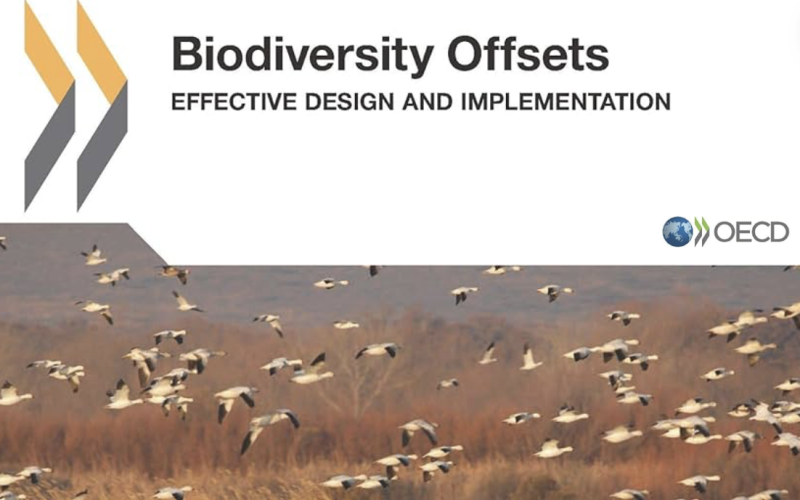 Biodiversity Offsets - Effective Design and Implementation