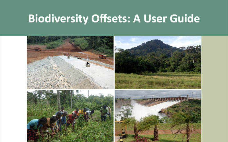 Biodiversity Offsets: A User Guide