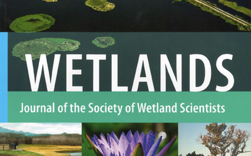Wetlands - Journal of the Society Wetland Scientists