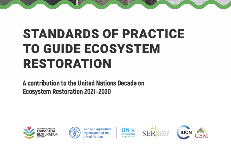 Standards of practice to guide ecosystem restoration