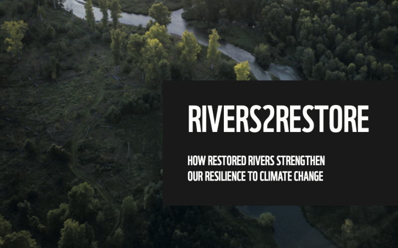 River2Restore – How restored rivers strengthen our resilience to climate change