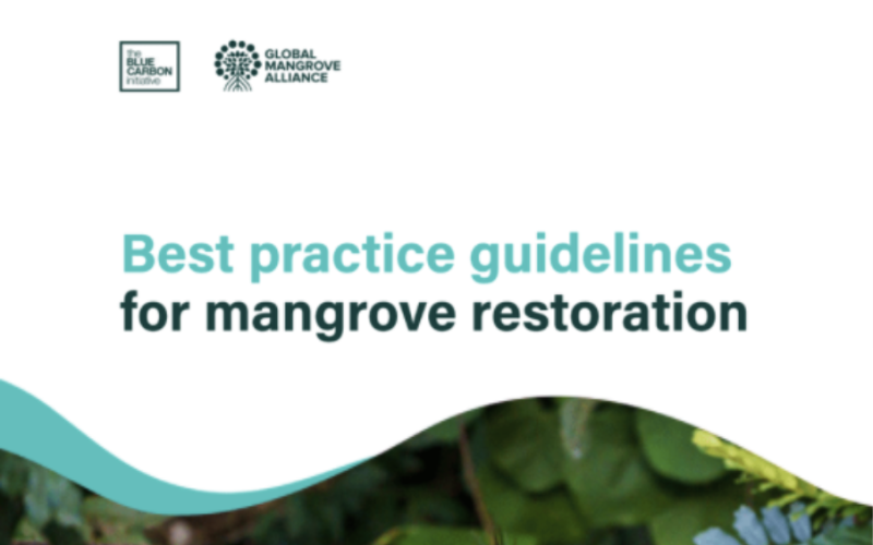 Best Practice Guidelines for Mangrove Restoration