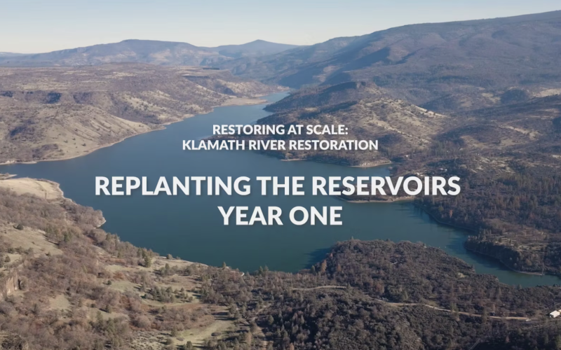 Replanting the Reservoirs, Year One | Klamath River Restoration 