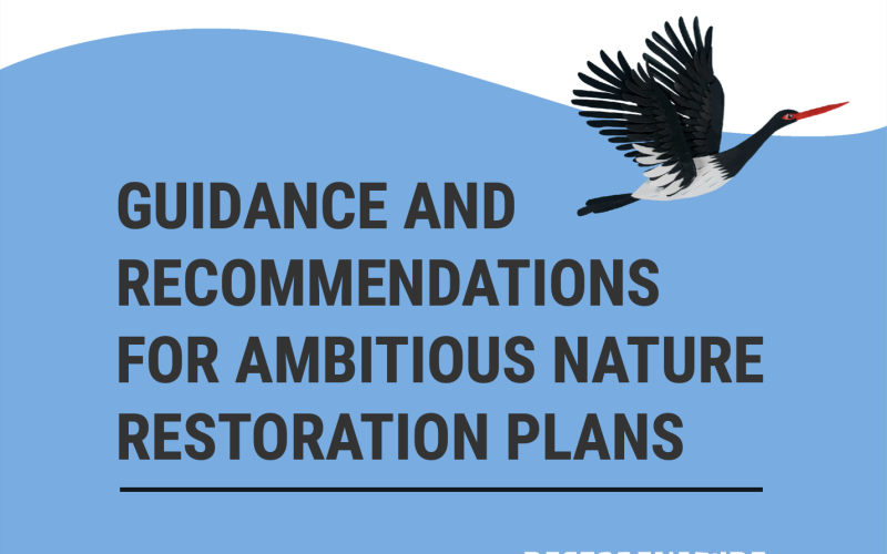 Guidance and Recommendations For Ambitious Nature Restoration Plans