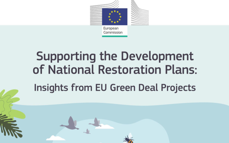 Supporting the development of national restoration plans – Insights from EU Green Deal projects