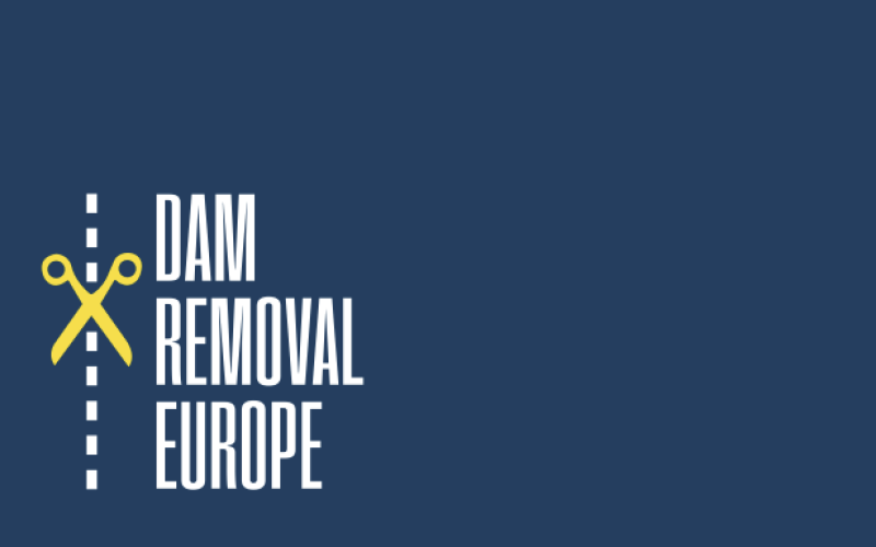 Dam Removal Progress 2024
