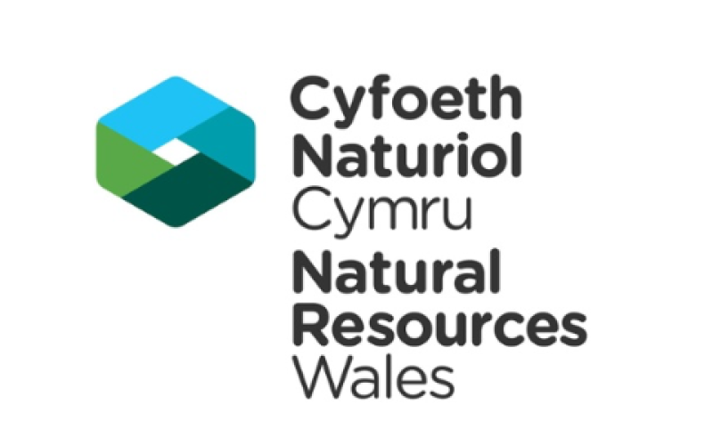 Wales Peatland Story