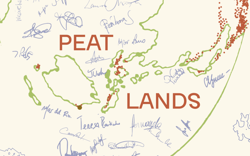 The Venice Agreement on Peatlands
