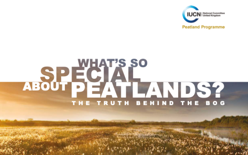 What's so special about peatlands? The truth behind the bog