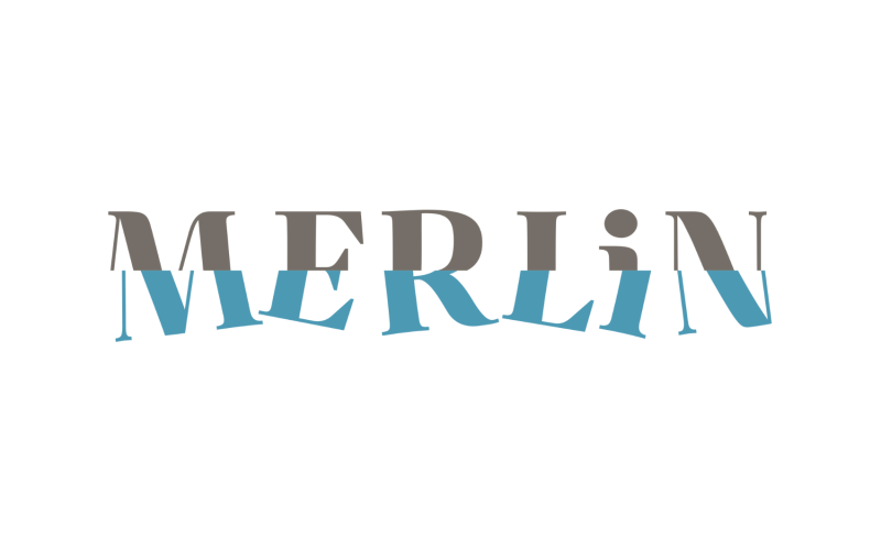 Digital reports on results of the monitoring of the MERLIN case studies (09/2025)
